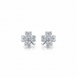 Lucky Shine Earrings